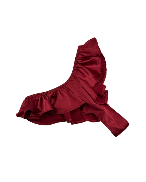 Celeste Silk Briefs with Ruffles – Burgundy